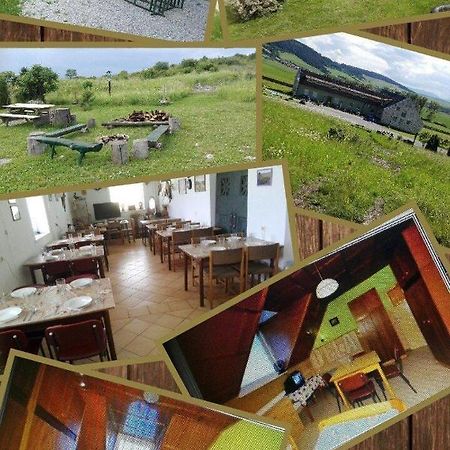 Turistika Ubytovna Siva Brada Spišské Podhradie Eksteriør bilde